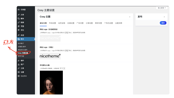 Cosy 主題使用教程-nicetheme_奈思主題